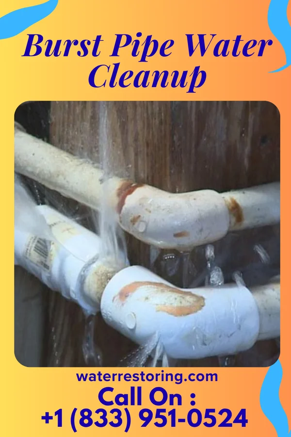 Burst Pipe Water Cleanup in Zoar, OH