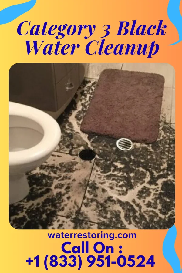 Category 3 Black Water Cleanup in Zoar, OH