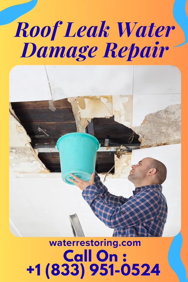 Roof Leak Water Damage Repair in Zoar, OH