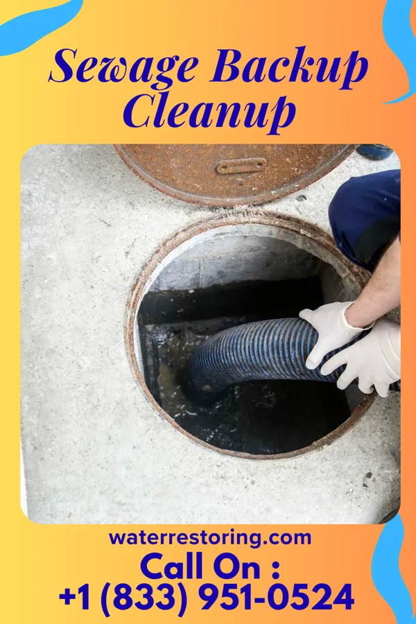 Sewage Backup Cleanup in Zoar, OH