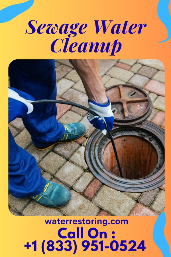 Sewage Water Cleanup in Zoar, OH