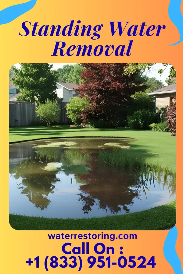 Standing Water Removal in Zoar, OH